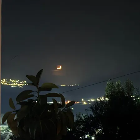Kalo